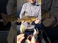 Fish?? #fishing #smallmouthbass #smallmouthbassfishing #riverfishing #fishinglife