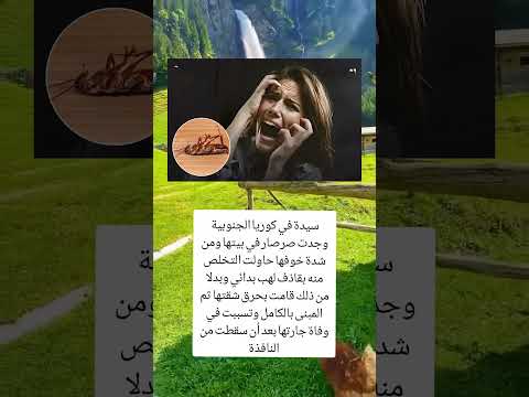 صرصار صغير تسبب في كل هذا سيدة في كوريا الجنوبية وجدت صرصار في بيتها ومن شدة خوفها حاولت التخلص