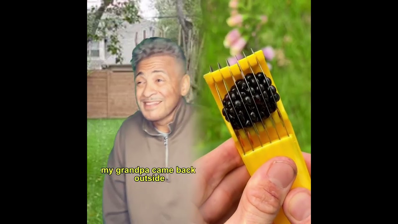 🤣👌👌👌2025 pov Must-Watch Crazy Clips Compilation 