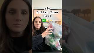 New Dollar Tree Arrivals This Week 😱