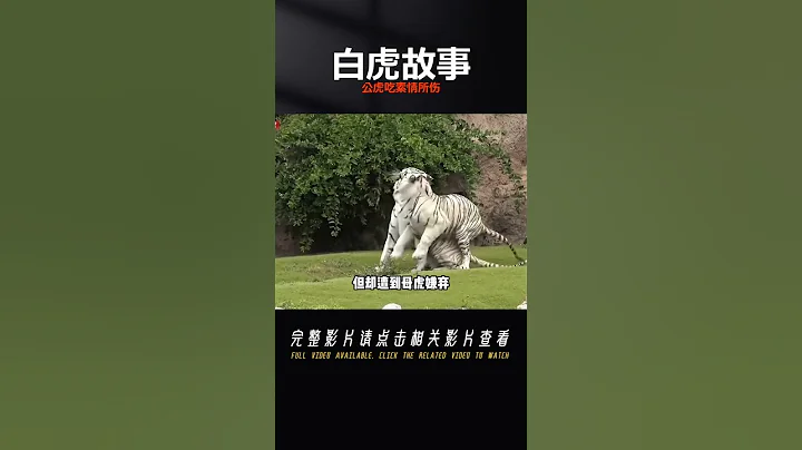 白虎交配慾望太大，強上母虎交配致其死亡，公虎為情所傷改行吃素 #奇聞 - 天天要聞