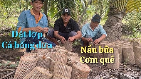 Một buổi chiều đi đặt lợp cá bống dừa về nấu bữa cơm quê cây nhà lá vườn | Cù Lao Dung Vlogs #517