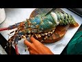 Thailand Street Food – The BIGGEST RAINBOW LOBSTER Cooked with Butter   Cheese