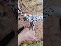 Wood instantly transforms into stunning dragon head crutches #clever #techniques #wonder