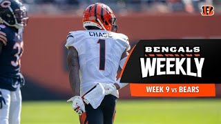 2025 Week 9 Chicago Bears at Cincinnati | Bengals Weekly