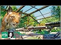 🐘 I build a big cage for the Eurasian Lynx! | City Zoo | Planet Zoo |