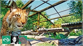 🐘 Ultimate Eurasian Lynx Aviary Habitat: Building the Perfect Enclosure in City Zoo | Planet Zoo