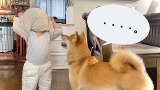 Daughter Peekaboo with Shiba Inu【dog and baby】