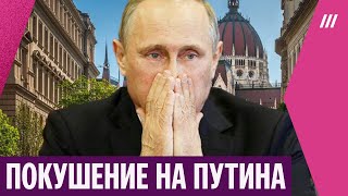 Покушение на Путина. Может ли в Венгрии состояться попытка убийства президента России