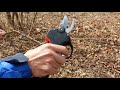 電動剪定バサミためしぎり　Vine P25nova