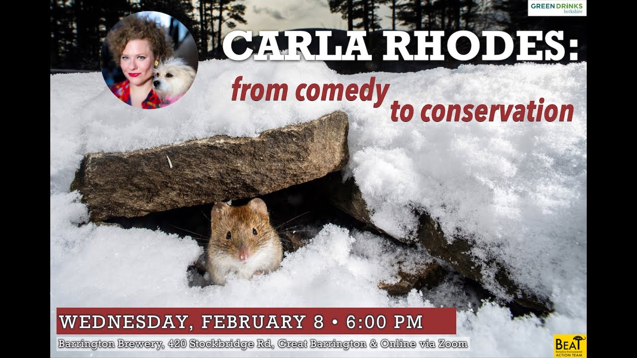 Carla Rhodes: From Comedy to Conservation – Berkshire Green Drinks