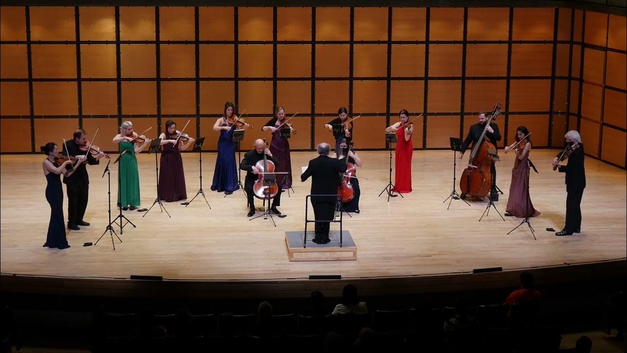 Giuseppe Verdi Symphony for Strings in E minor 1st movement YouTube