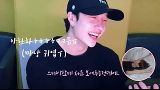 [스트레이키즈] 침대에 녹아내린 댕댕이 김승민 / 찬이방🐺🐶 (+치이는 생활영어)