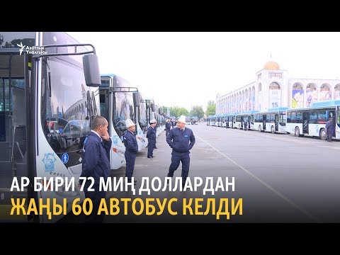 Video: Бакчанын ичин жашылдандыруу үчүн дубал