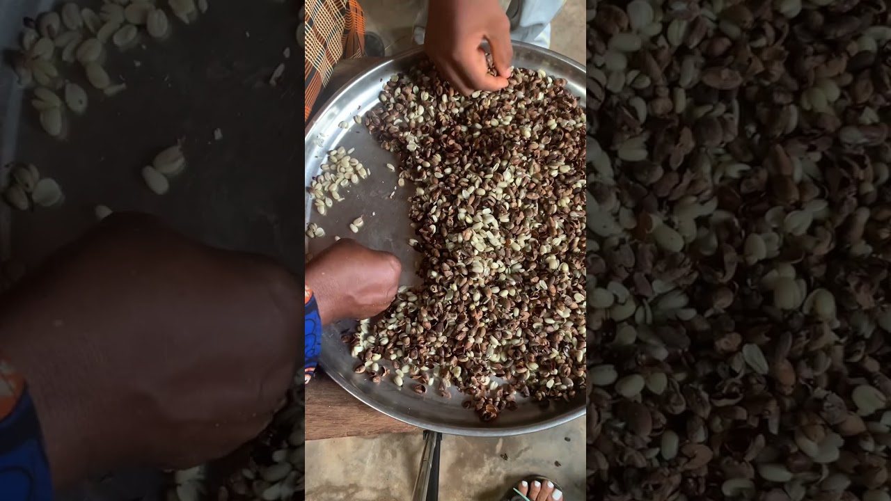 Cooking one of Igbo land Nigeria cherished food. 