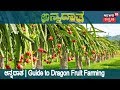 ಅನ್ನದಾತ | Information About Dragon Fruit Cultivation | Aug 14, 2018