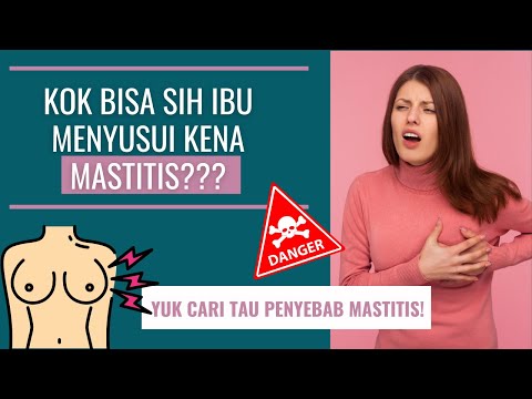 Video: Apakah Breeds Anjing Tertua?