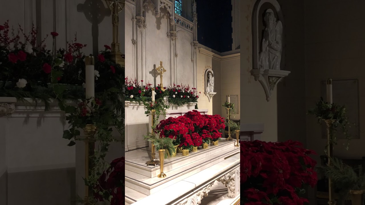 Pastorale on Forest Green by Richard Purvis