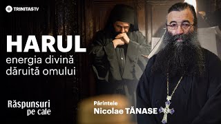 🔴 LIVE: Harul, energia divină dăruită omului - Părintele Nicolae TĂNASE #RăspunsuriPeCale