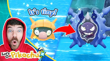 Shiny Shellder & Shiny Cloyster In The Wild | Pokemon Let
