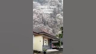 Mangku Purel SEMERU MBLEDOS #shorts