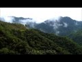 Biodiversidade da Mata Atlântica