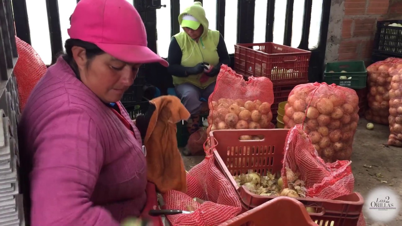 Comproagro transformó el campo colombiano