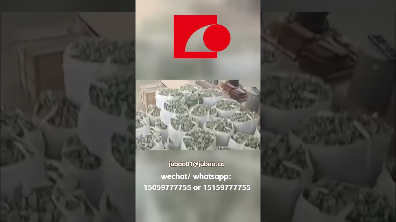 GLOVE SERIE machines, your key to high-speed production 🏭Advanced solutions for glove manufacturing.