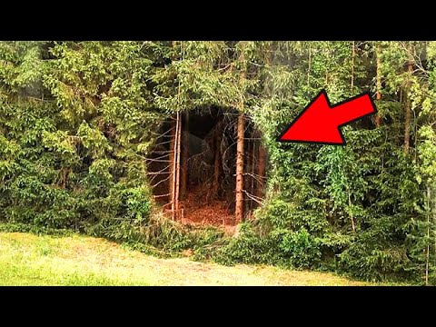 Vídeo: De onde surgiu a rotunda?