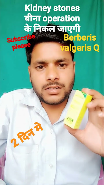 berberis vulgaris/kidney stone/ Remove homoeopathic medicine बीना opretion निकल जाएगी