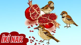 İki Nar 4-Cü Sinif Azərbaycan Dili