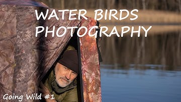 Photographing water birds from a floating hide - dinghy. Wildlife photography from water level.