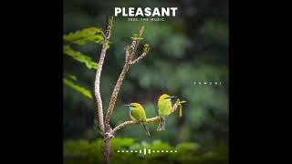 piano & Flute Combo Whatsapp Status  | Best what's app status screenshot 4