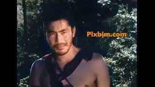 Rashomon Color Version
