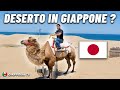 Un paesaggio incredibile del Giappone che molti italiani ancora non conoscono! Le dune di Tottori