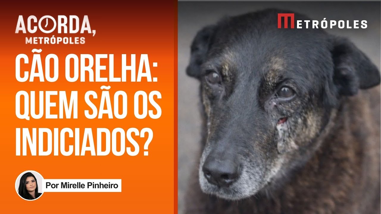 Polícia está atenta na volta da Disney de suspeitos de torturar e matar cão Orelha