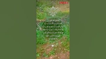 سورة الفاتحة #اكسبلور #المراه #دويتو #الغلا #duet #الجيلي #تيك_توك #المراره #ترند #القرميد