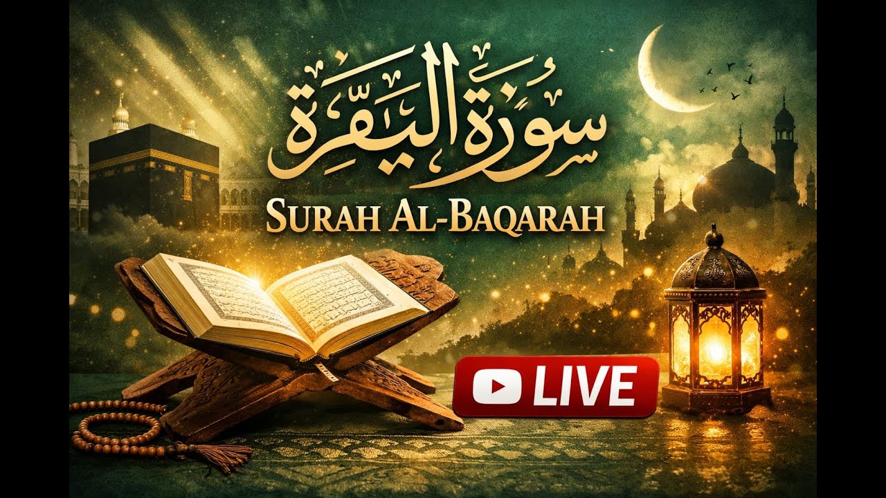 🔴 LIVE Surah Al Baqarah Full Tilawat | سورة البقرة | Quran Recitation Live | Peaceful Quran Live 24