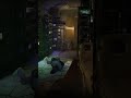 Attack the Block in Ready or Not Ironman Ep. 2! #gaming #gameplay #readyornot #ron #update