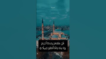 #تلاوة من ليالي #رمضان #سورة الإنسان #القارئ عبدالرحمن مجمل#استمع وتأمل #راحة_نفسية #القرآن_الكريم
