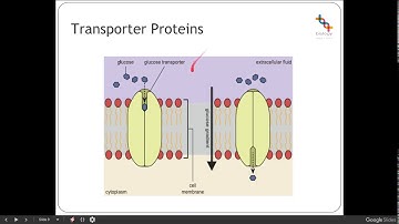3aii  Movement Across Membranes