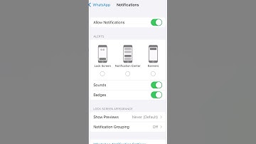 How to Turn On/Off WhatsApp Notification in iPhone 🔕 Enable/Disable WhatsApp Notification Settings