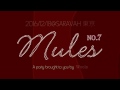 Mules no.7 16/12/18@shibuya sarava東京