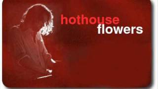 Hothouse Flowers   Good for you chords