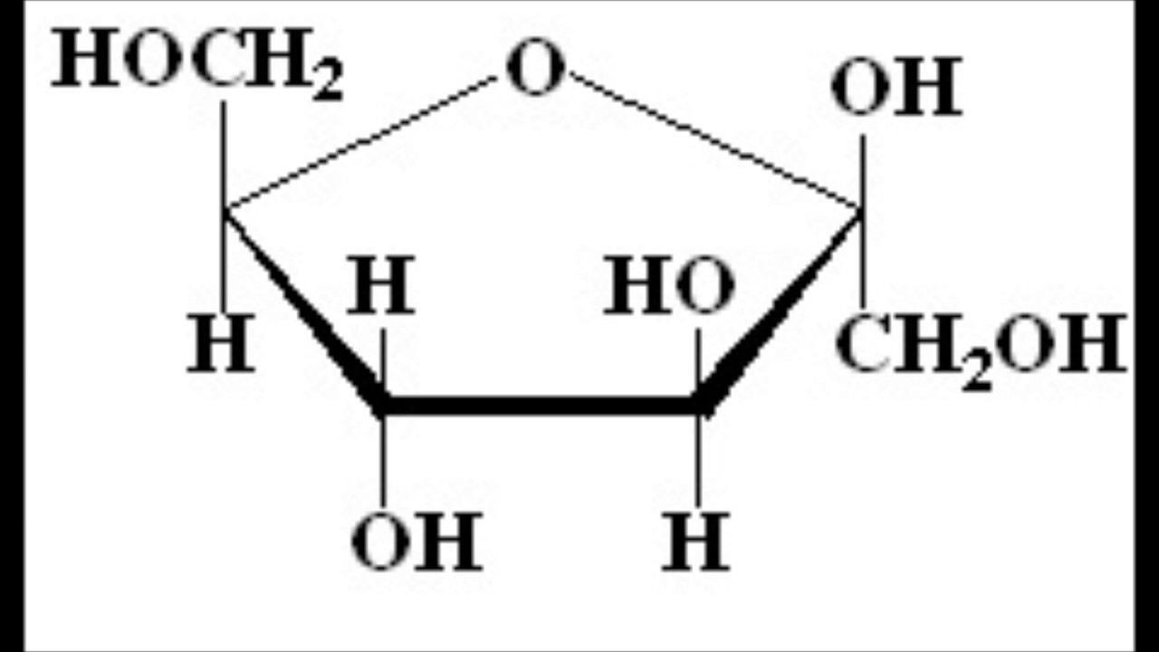 Фруктоза форма. Фруктоза структурная формула. Фруктоза циклическая формула. Фруктоза линейная формула. Фруктоза формула химическая.