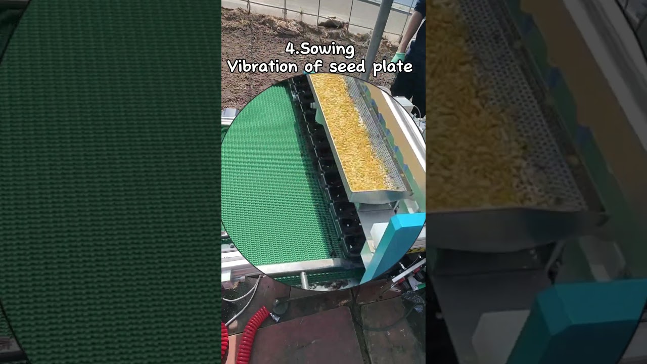 Fully automatic nursery seeding line working in greenhouse 400-600trays/h 