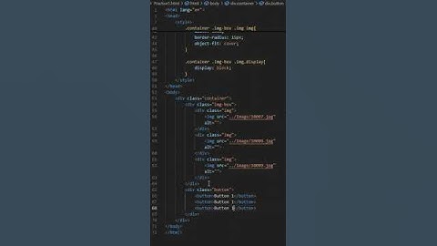 Image Gallery (Slider) #html #css #javascript #short #shortvideo Raza Developer
