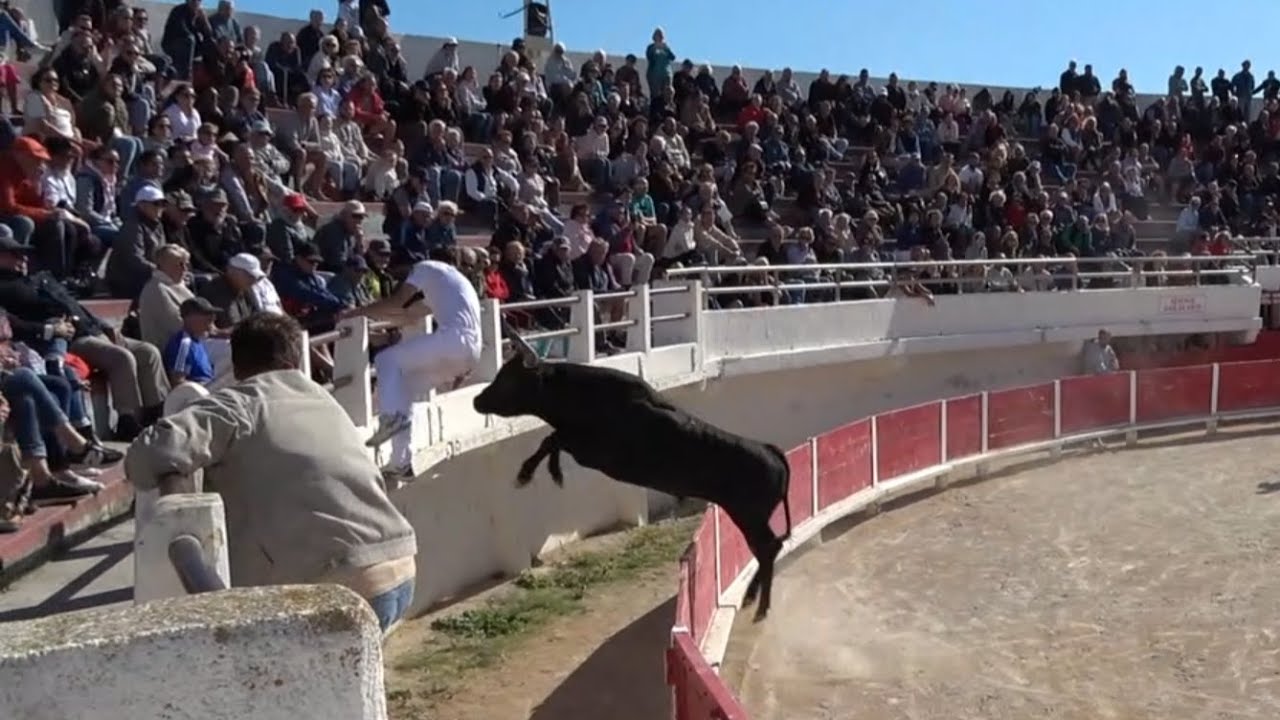 Tau de 3 & 4 ans les saintes Maries de La Mer le 24 / 09:2025