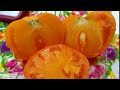 Обзор сортов желтых и оранжевых томатов!