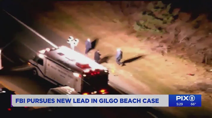 FBI investigating a lead in mom, toddler Gilgo ser...